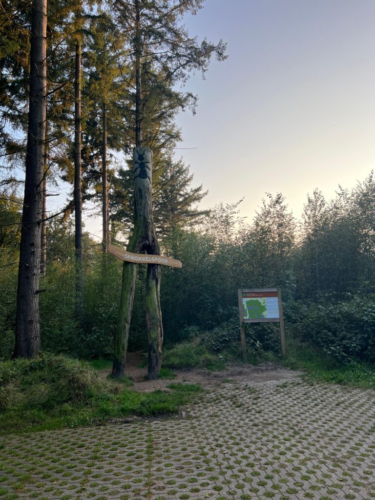 Het Sprokkelspoor wandelen en daarna pannenkoeken eten in het Bommelhoes.